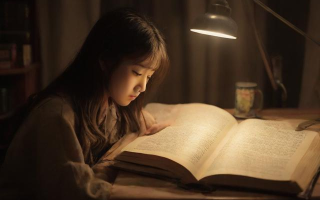 承载小说，承载念什么