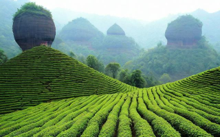 〖武夷山茶叶什么意思·武夷山有一种茶叶闻名全国那就是什么茶叶〗