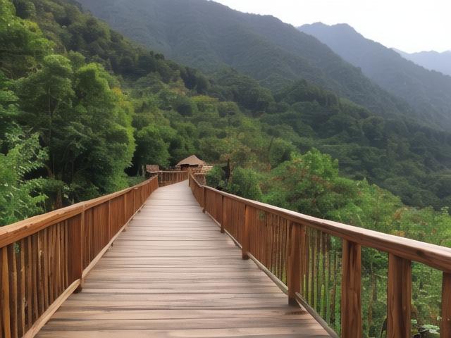 木景门票(景区木栈道图片)