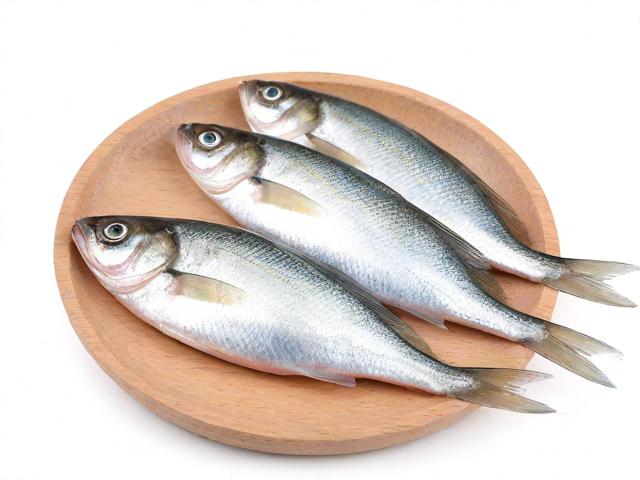 〖冬季小鱼专用饵料·冬季鱼饵料的最佳搭配〗