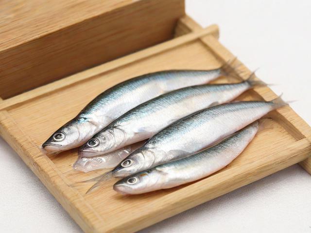 〖冬季小鱼专用饵料·冬季鱼饵料的最佳搭配〗