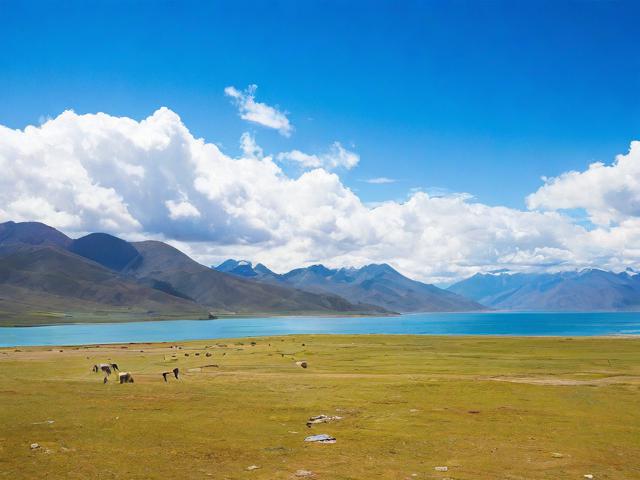 【最感动的旅行作文开头,人生最感动的旅行】