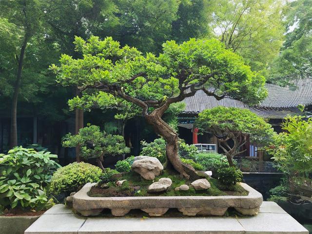 【近景打卡,打卡小景观】